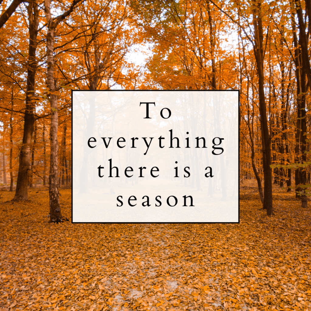 fall, autumn in the mountains, leaves changing , ahumblewomanprays.blog,