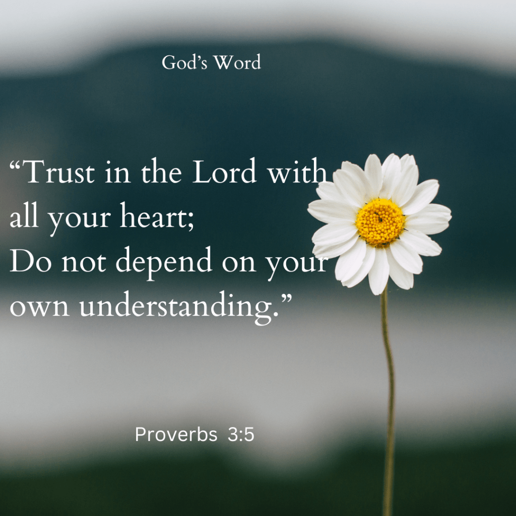 God's Word Trust the Lord with all your heart: Do not depend on your own understanding. Proverbs 3:5