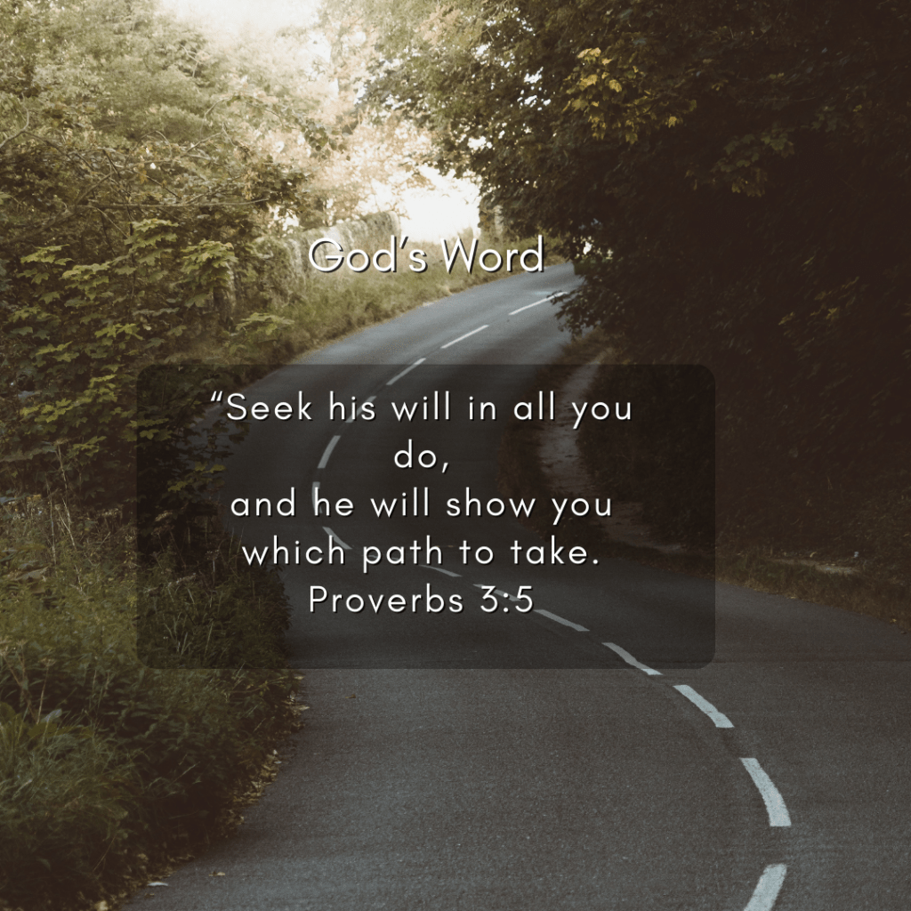 God's word: Seek his will in all you do, and he will show you which path to take. Proverbs 3:5