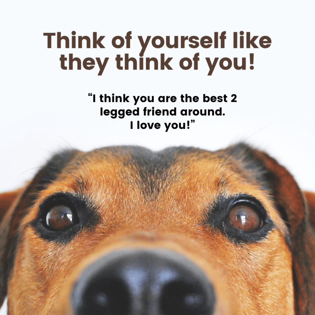 See yourself as they see you!