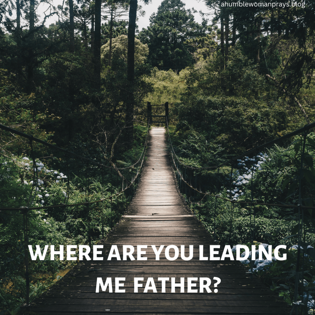 Where are you leading me Father?