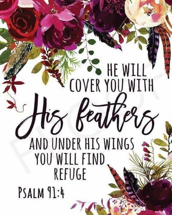 He will cover you with his feathers and under his wings you will find refuge, peace, love, forgiveness. 